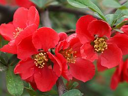 今天不發(fā)產(chǎn)品，提前進入老年生活，拍點花花草草