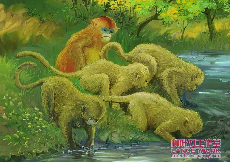 动植物插画小品