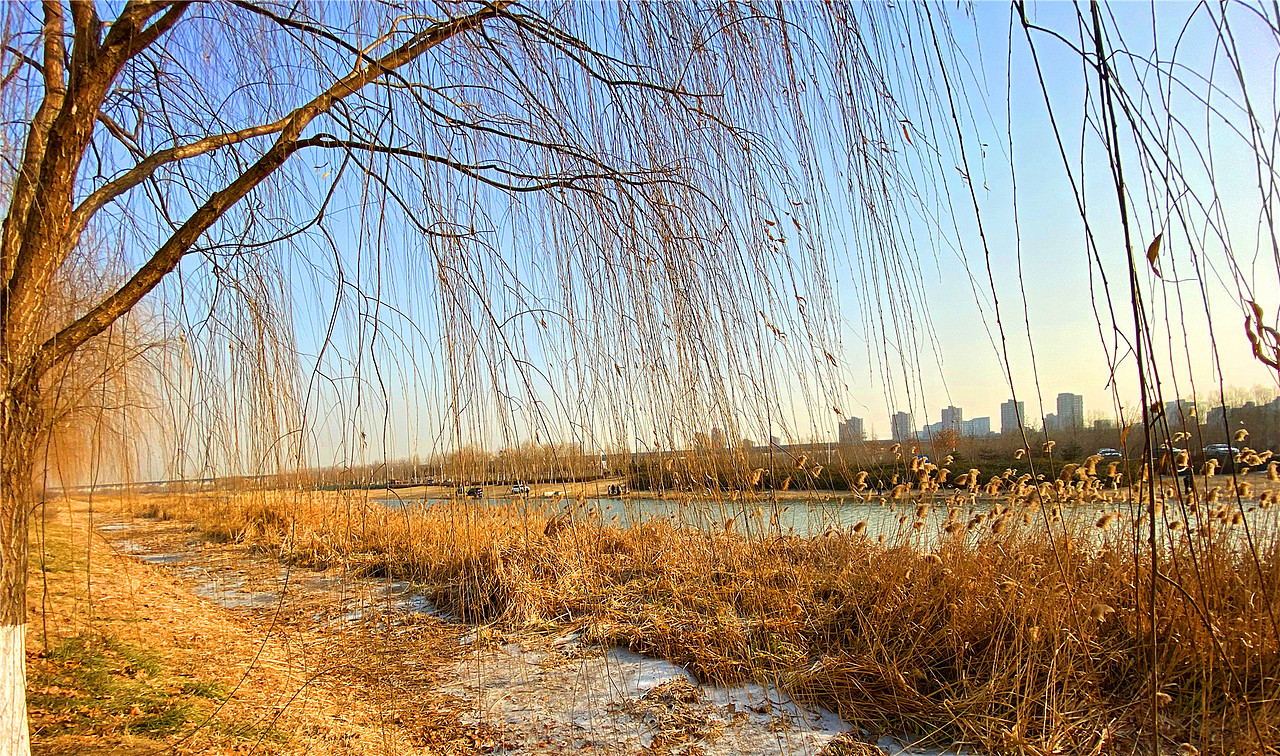 刘勇良手机纪实摄影：闲来垂钓碧溪上（图ZMTkxNjAyMTA0） - 人文/纪实摄影 - 站酷设计师刘勇良意创书设原创素材 - 站酷ZCOOL