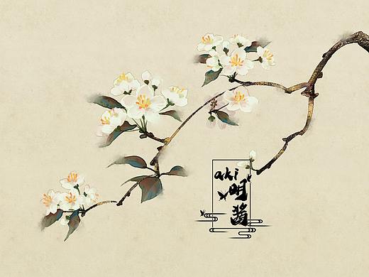 梨花素材 花卉练习