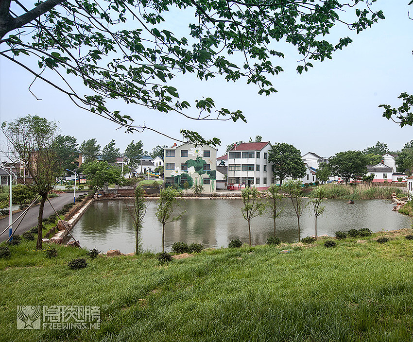 ▲ 站在村口眺望,土地平旷,屋舍俨然,果然有良田美池桑竹之属。只是,远处的墙壁之上,盛开的竟是。。荷花!