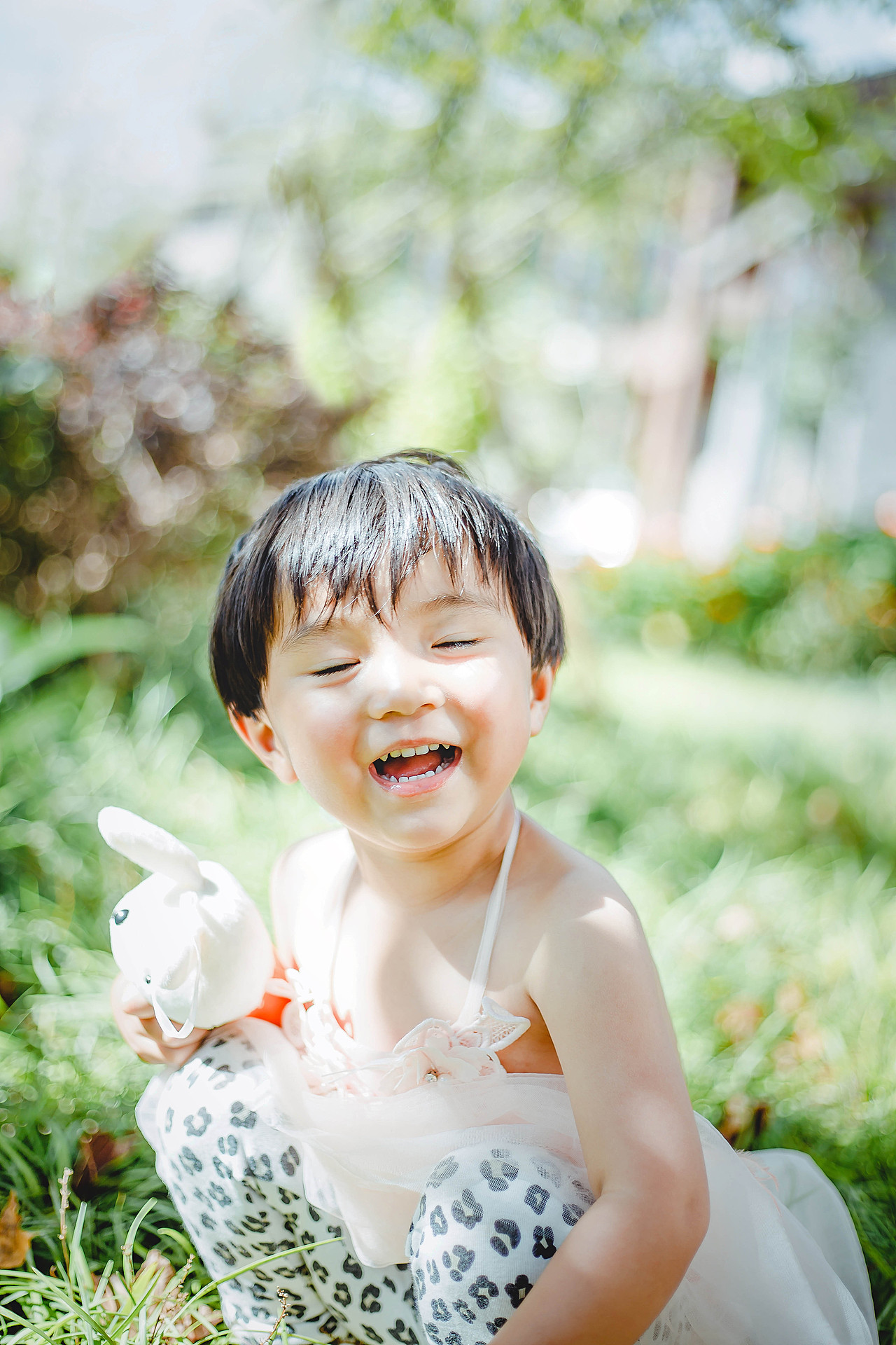 丽江 木楷 2016.10.03