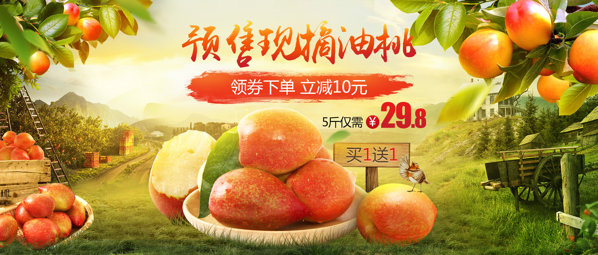 油桃预售海报