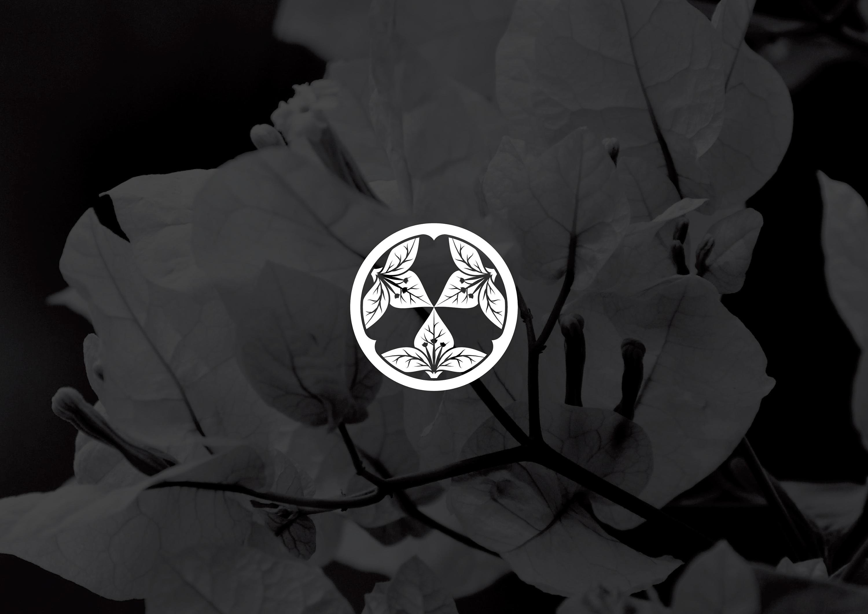 三角梅日式家族家徽_洛克潮创品牌设计-站酷zcool