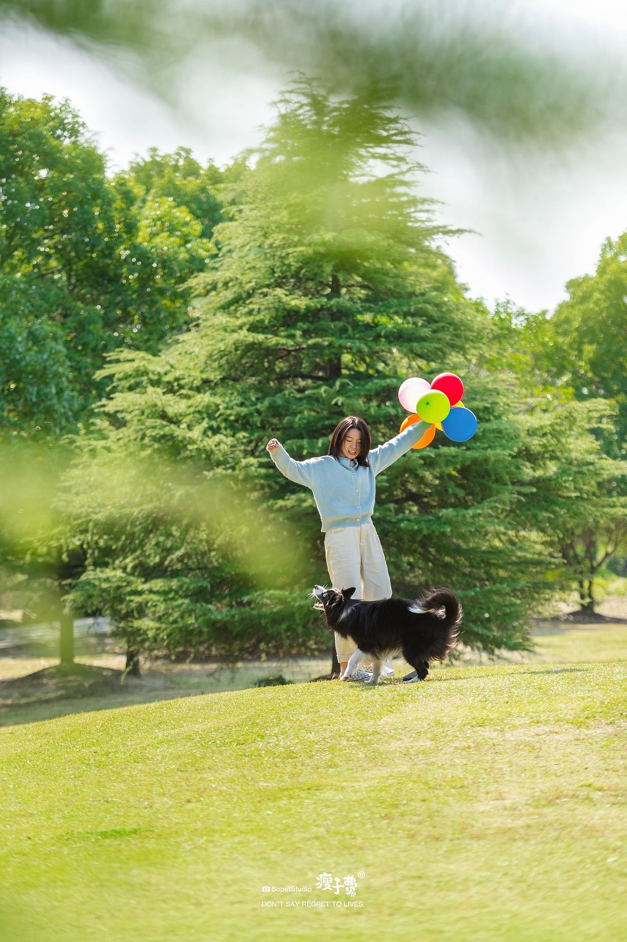 古灵精怪（图ZMzI0MTg1OTAw） - 宠物摄影 - 站酷设计师宠物摄影师瘦子费原创素材 - 站酷ZCOOL