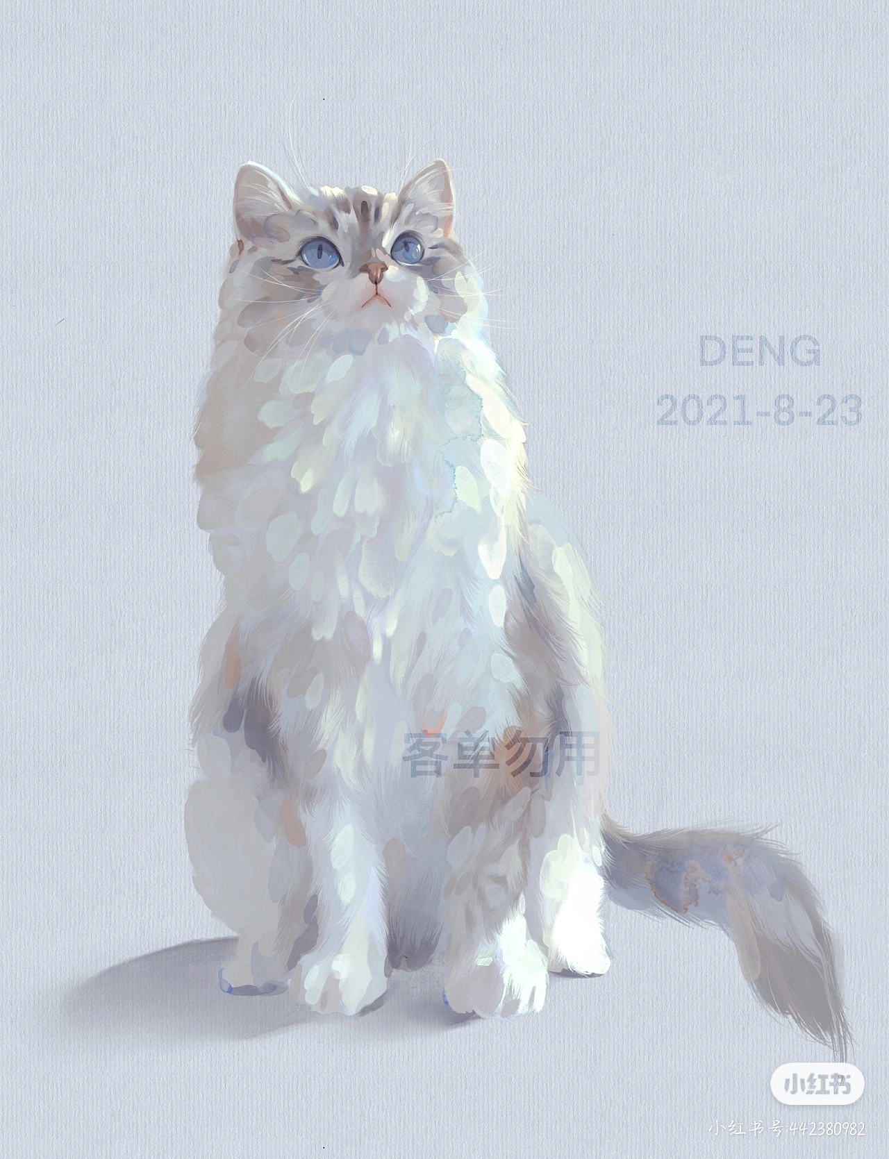 宠物约稿布偶猫