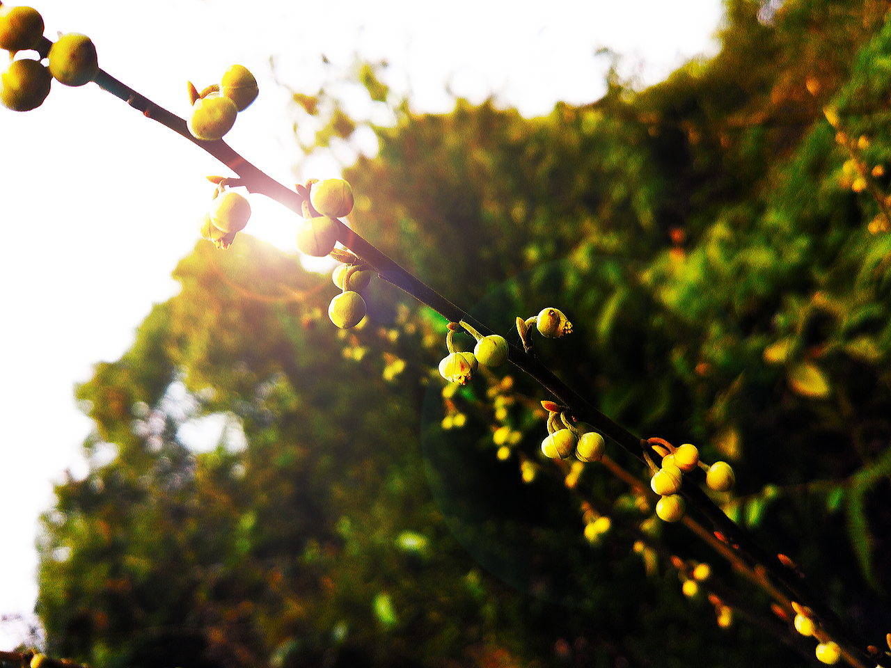 美丽的城市却少了你