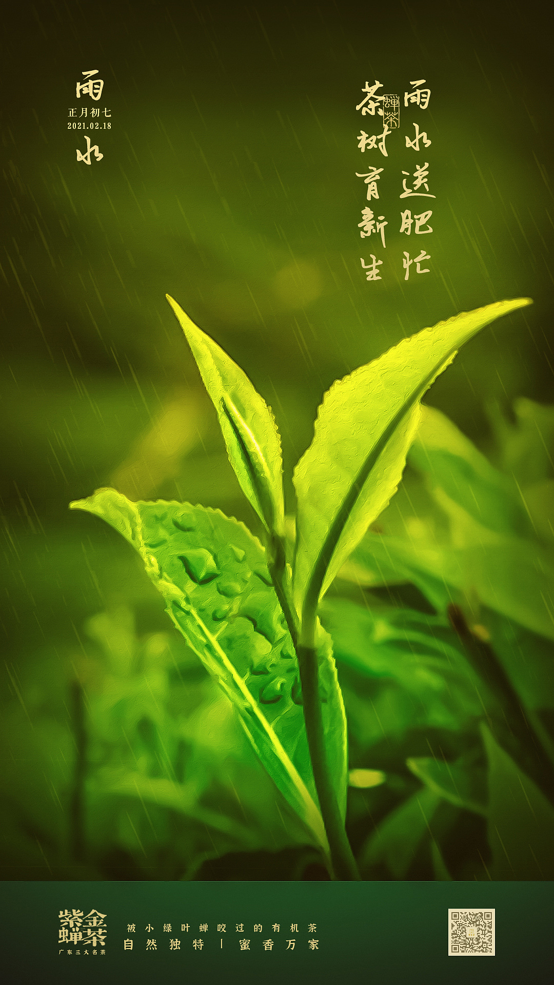雨水海报