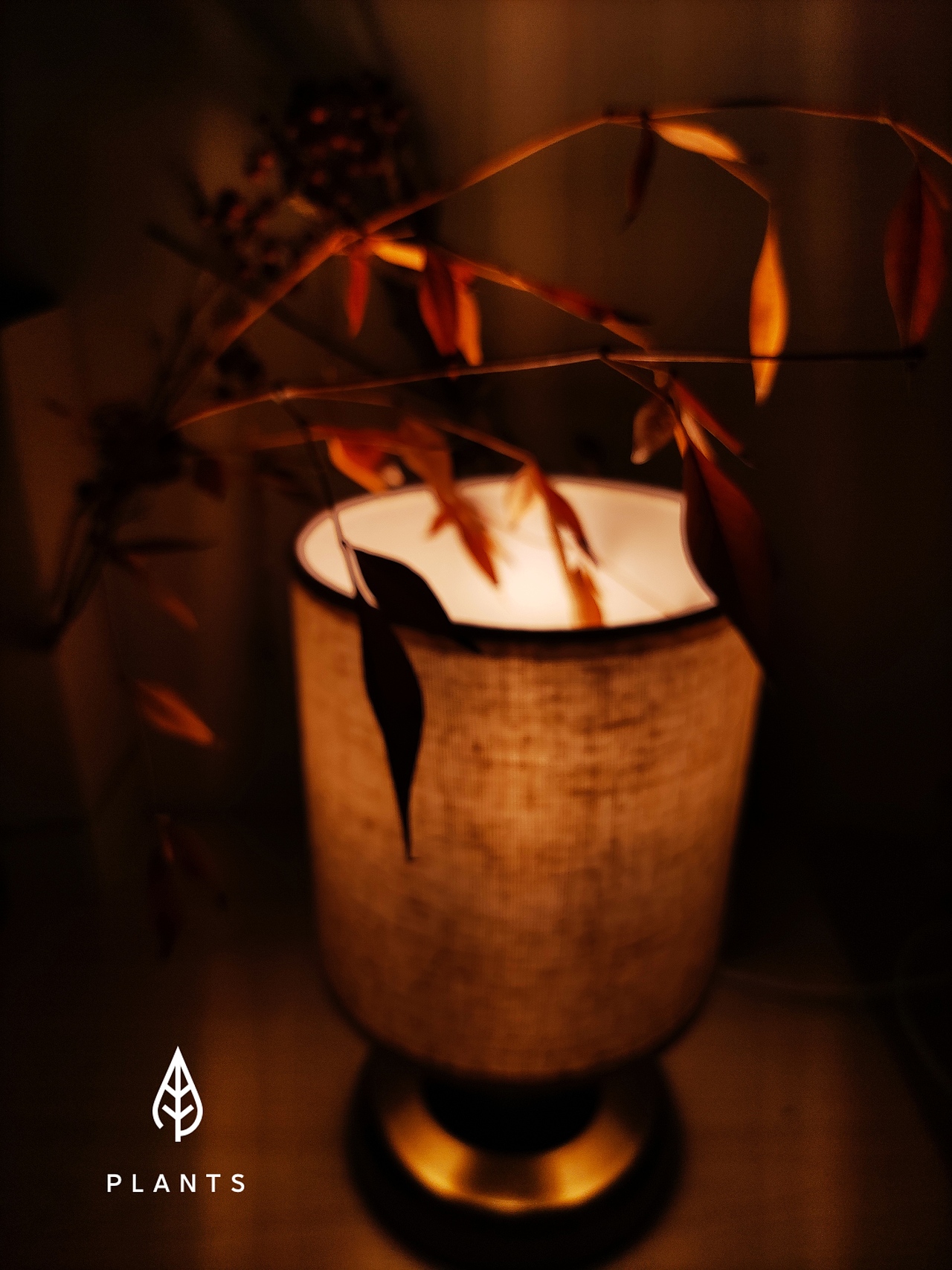 手机摄影2（图ZMjQyMDQwOTky） - 产品摄影 - 站酷设计师191436255原创素材 - 站酷ZCOOL