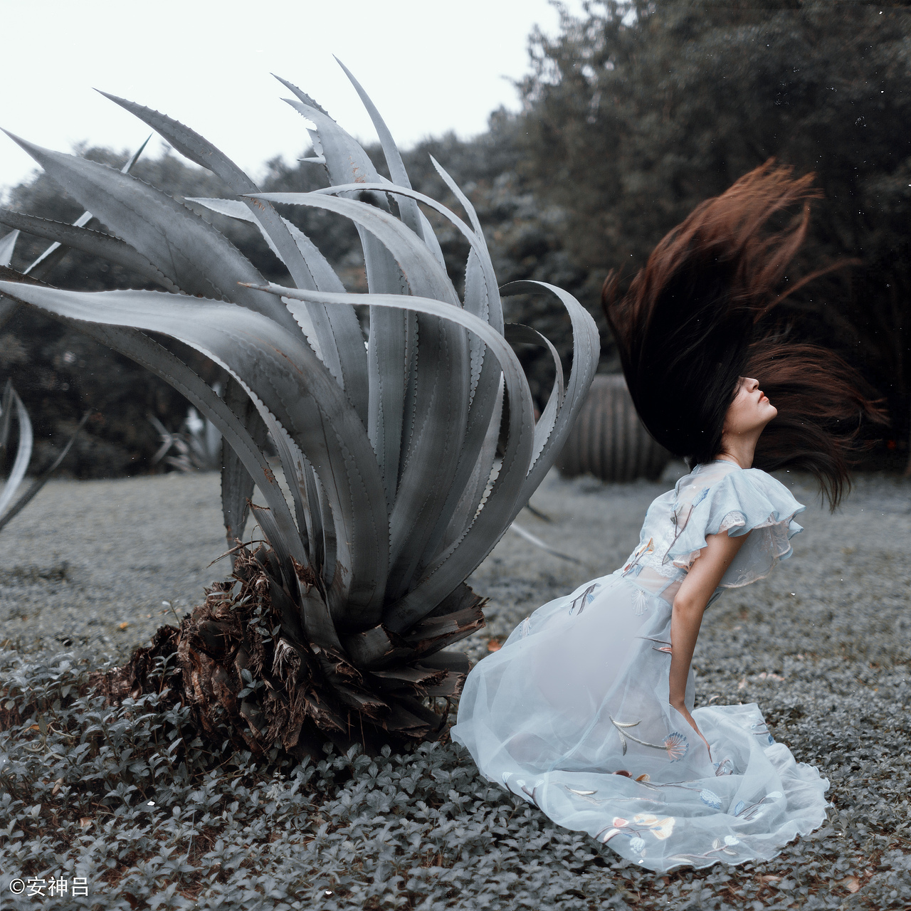 蓝色记忆（图ZNzEwMDgyOTI=） - 人像摄影 - 站酷设计师安神吕原创素材 - 站酷ZCOOL