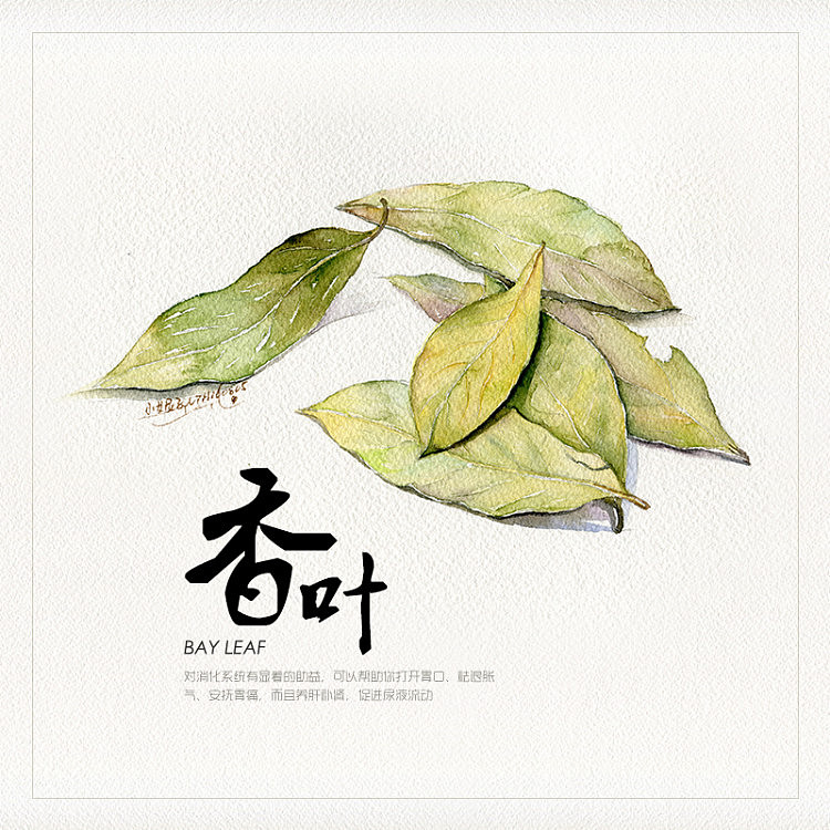 水彩香料系列(一)