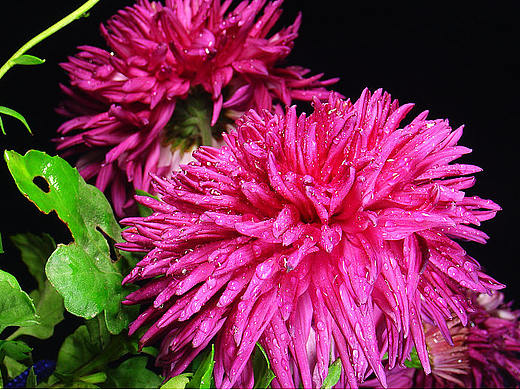 化妝品合成（個(gè)人主頁-ZMjUyMDgxNDA=） - 海報(bào) - 站酷設(shè)計(jì)師海洋丶原創(chuàng)素材 - 站酷ZCOOL