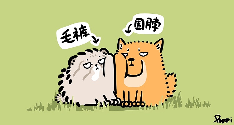 毛裤&围脖vlog 微信表情