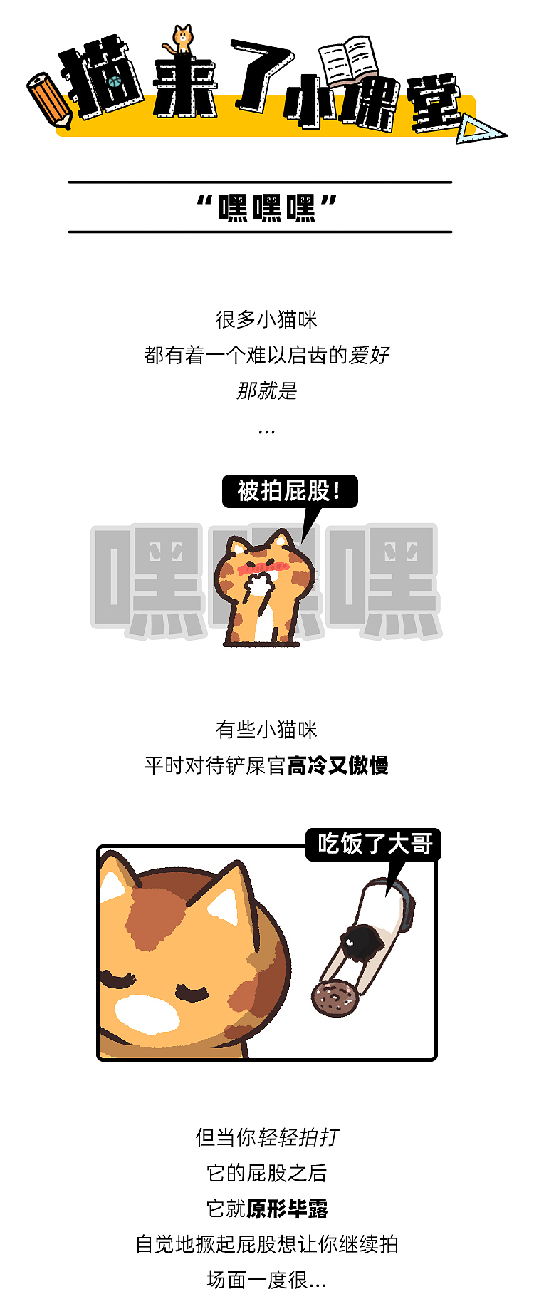 猫来了小课堂-被拍屁股的爱好