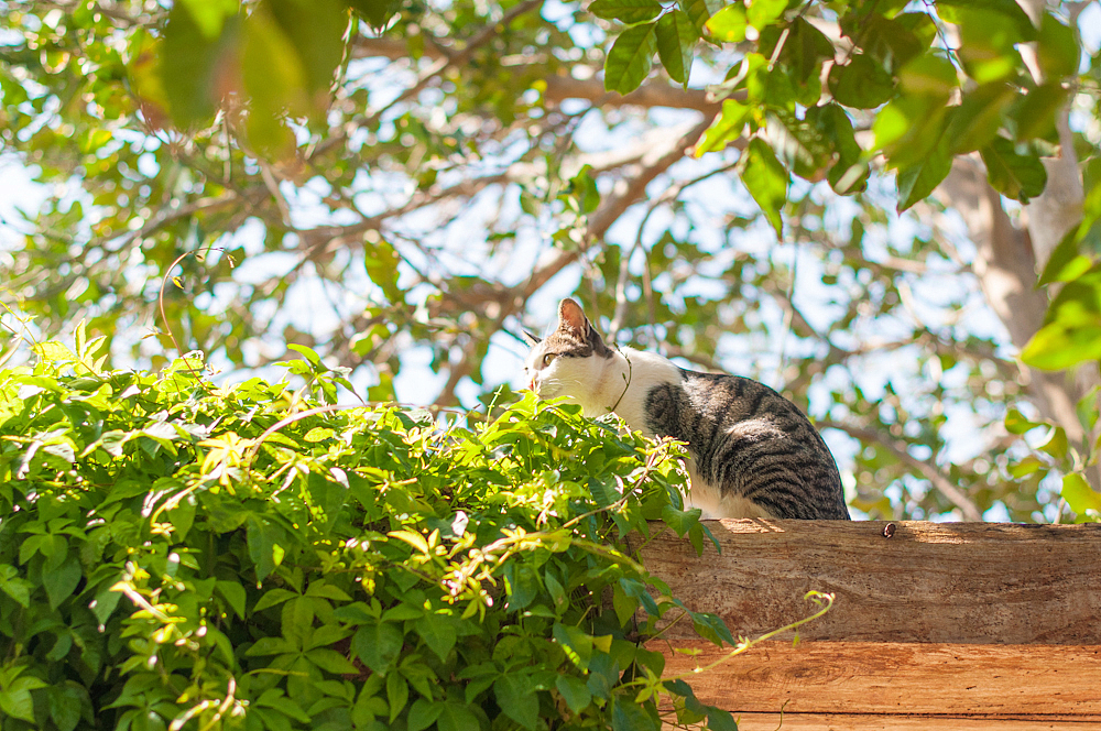 2014.12.28-2015.01.03 北海碧蓝