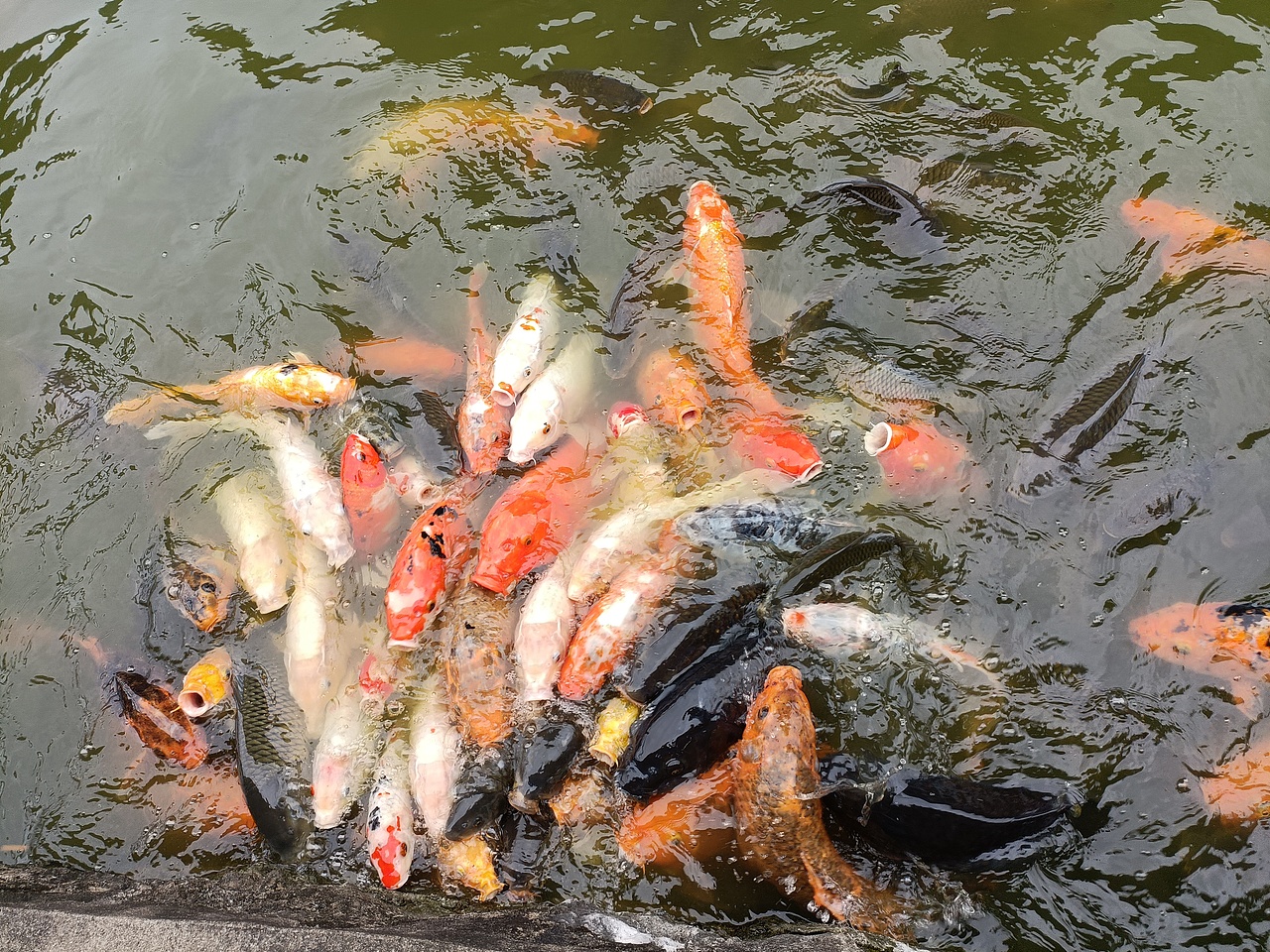 广东七星岩景区