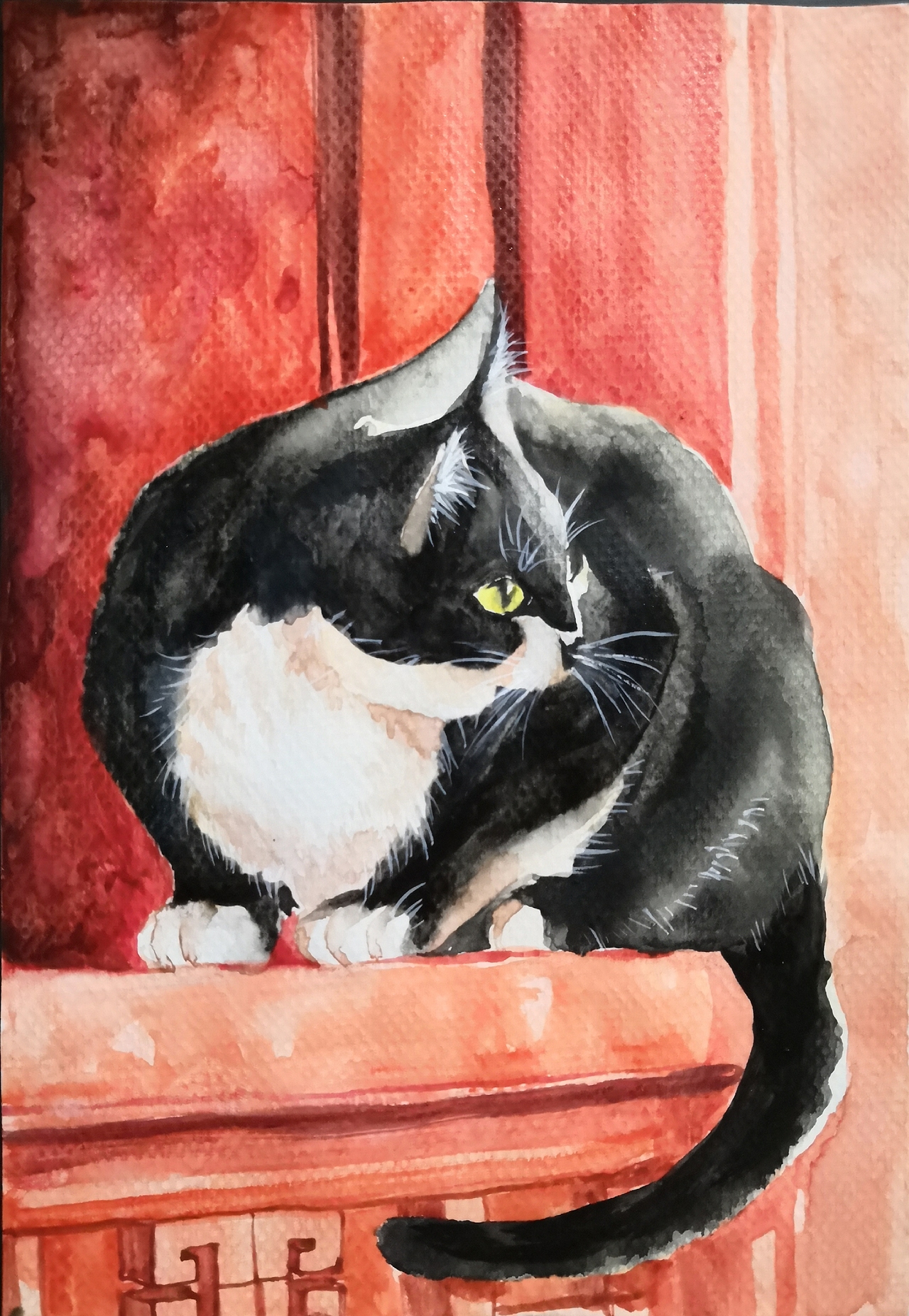 色彩60天挑战赛