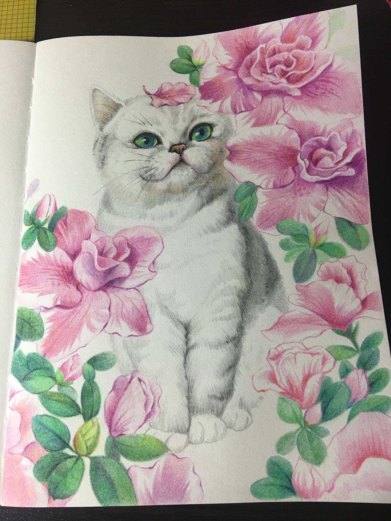 【彩铅手绘】宠物肖像系列-猫与花草（图ZMjI0NzM5OTk2） - 商业插画 - 站酷设计师北极以北821015原创素材 - 站酷ZCOOL