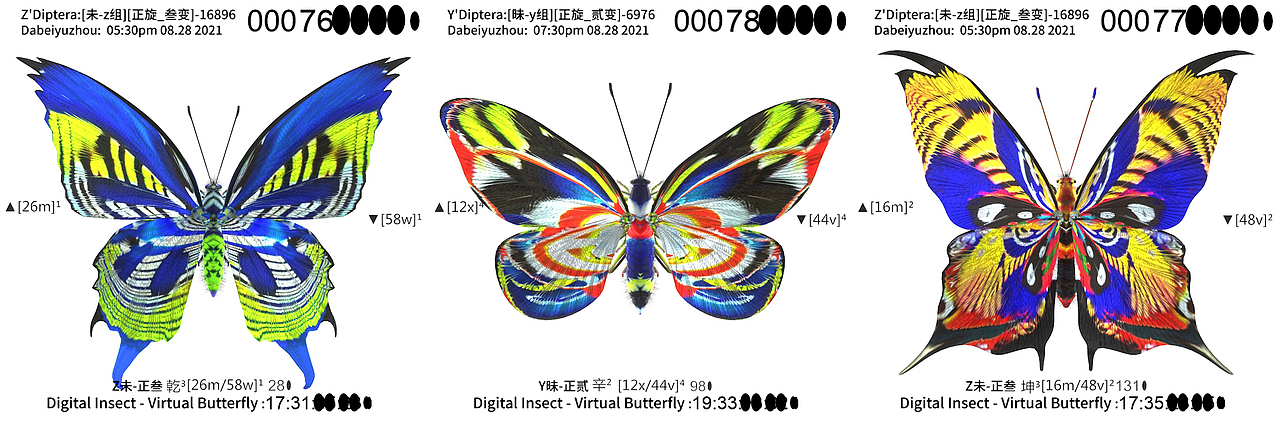 用互联之网捕捉虚拟蝴蝶