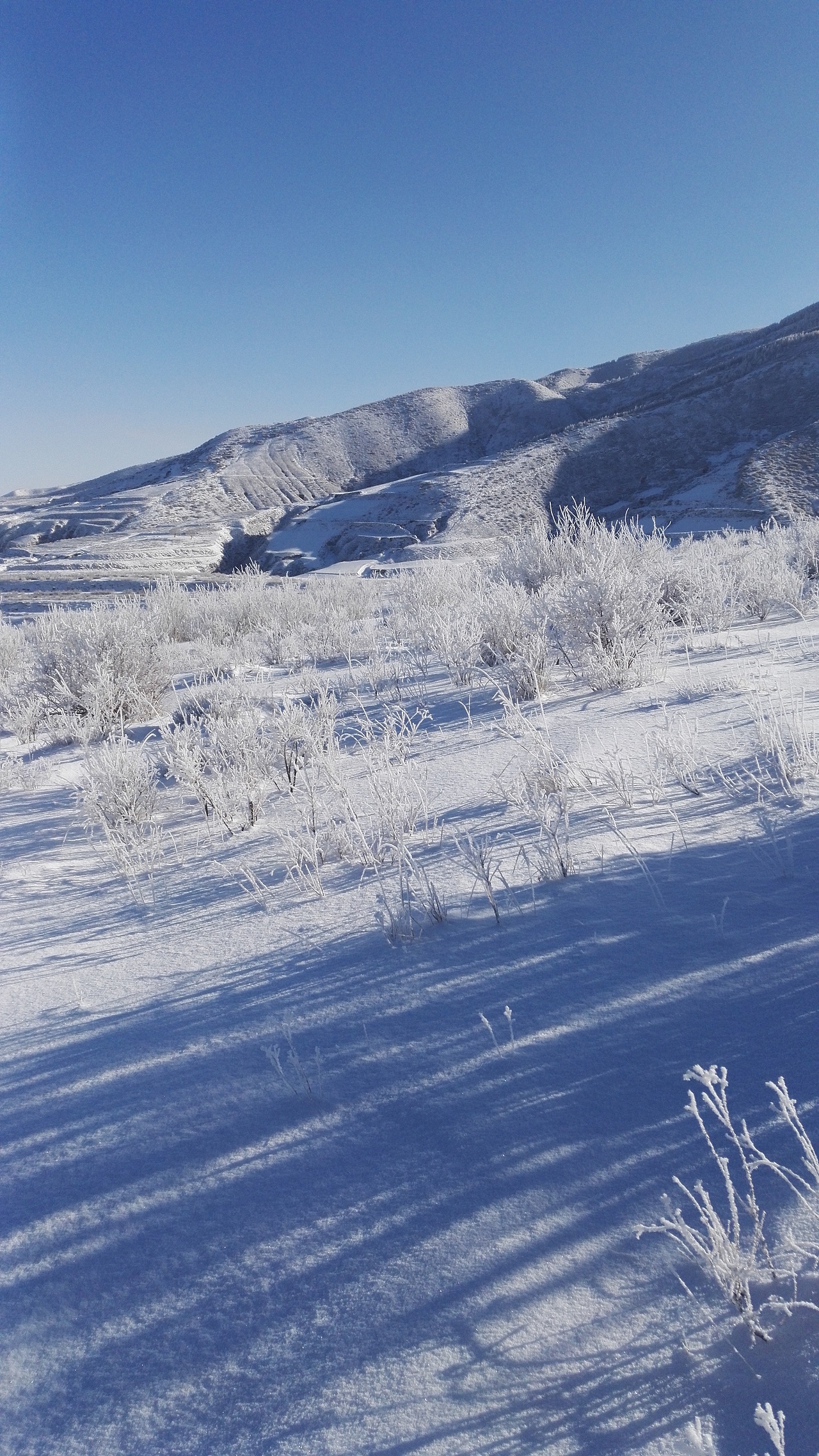 雪景（图ZNzEwMjk2MzI=） - 风光摄影 - 站酷设计师txxuid原创素材 - 站酷ZCOOL