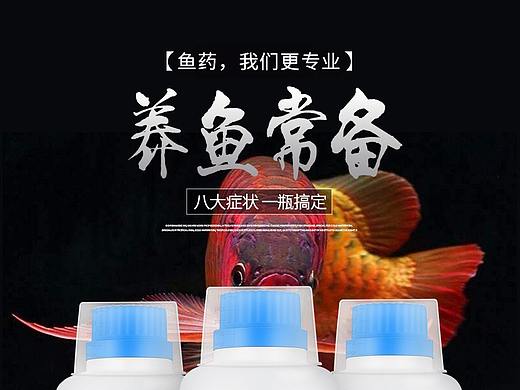 观赏鱼药
