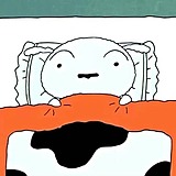 不熬夜的小白的头像