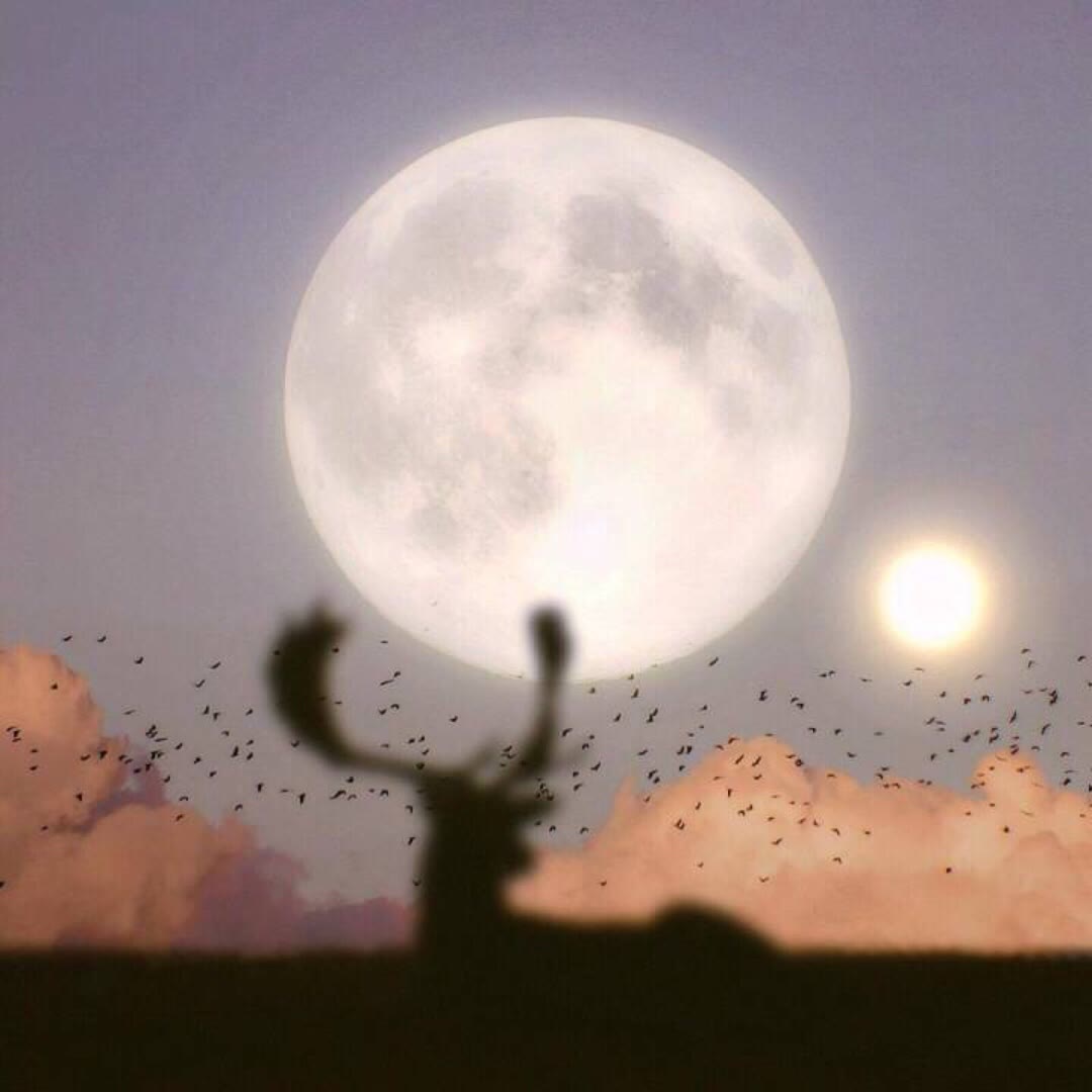 田思浓的个人主页（封面预览） - 主页封面设置 - 站酷设计师田思浓原创素材 - 站酷ZCOOL