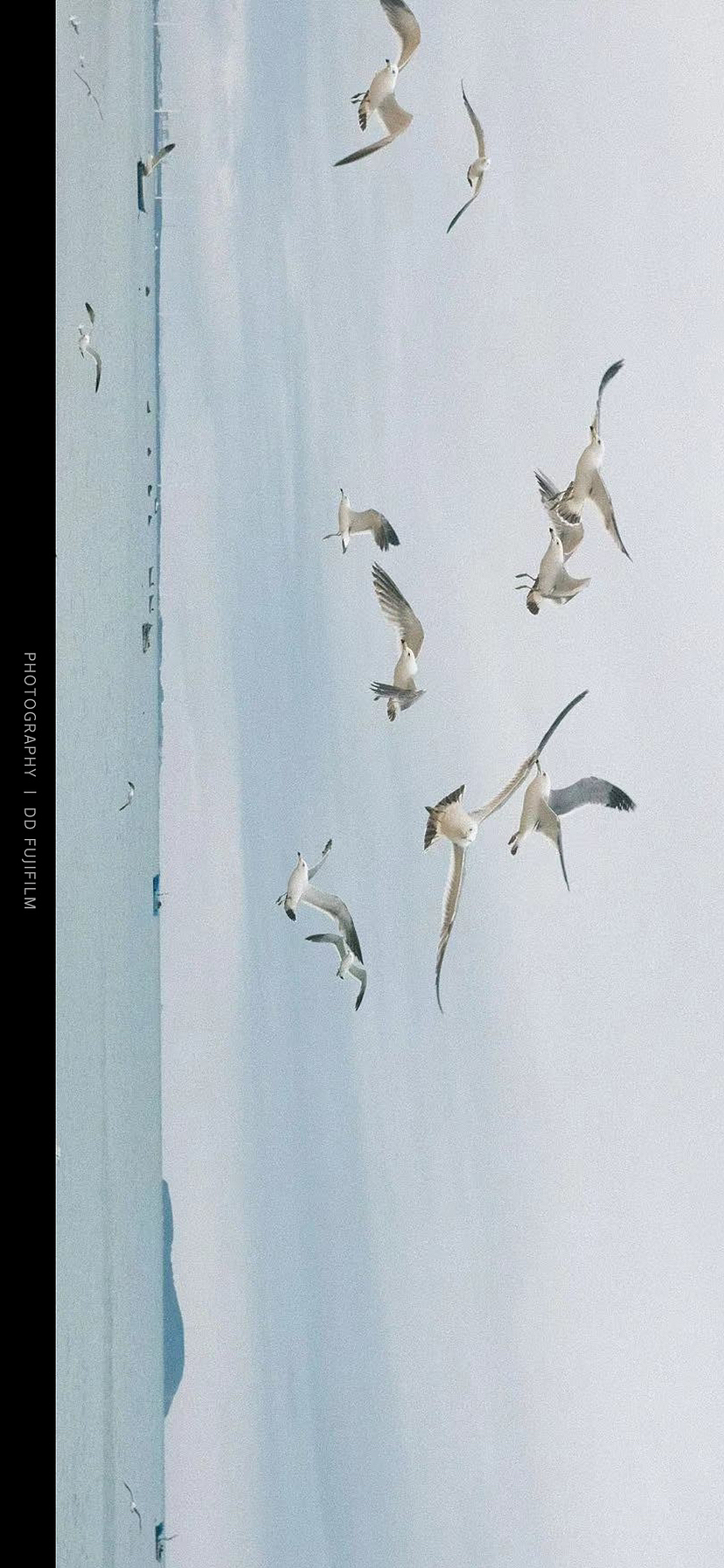 威海（圖ZMzQ1NDMyNjE2） - 人文/紀(jì)實(shí)攝影 - 站酷設(shè)計(jì)師社會(huì)鉆原創(chuàng)素材 - 站酷ZCOOL