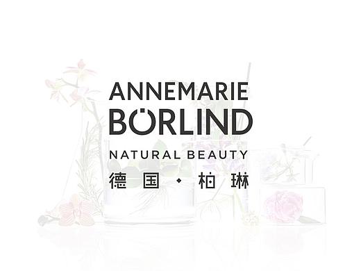 柏林安娜电商首页飞机稿