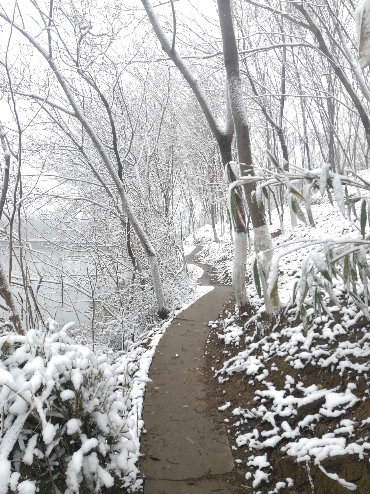 《冬》（图ZMjQxMTI4NDI0） - 风光摄影 - 站酷设计师Noahguo原创素材 - 站酷ZCOOL