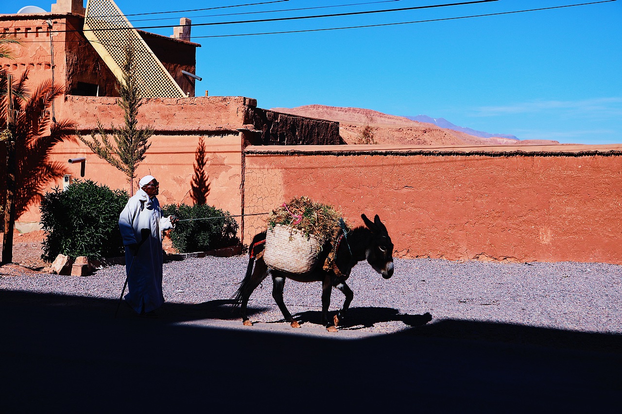 去撒哈拉路上的古老村庄（图ZMzAzMDgyMTMy） - 人文/纪实摄影 - 站酷设计师是蛋挞哈原创素材 - 站酷ZCOOL