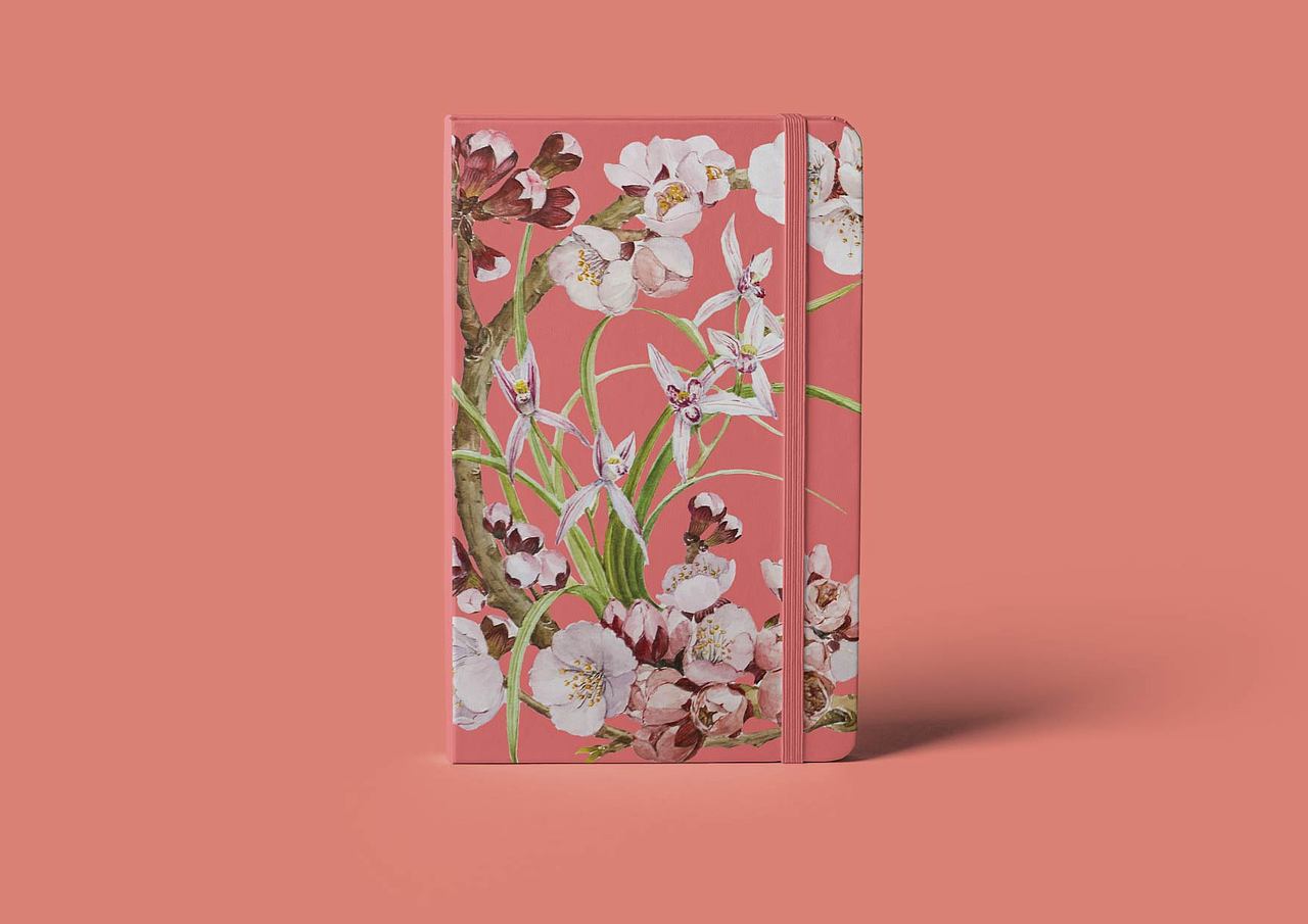 十二月花神之二月花神 杏花 兰花(图ZMjQzODc5OTQ4) - 艺术插画 - 站酷设计师淂淇原创素材 - 站酷ZCOOL