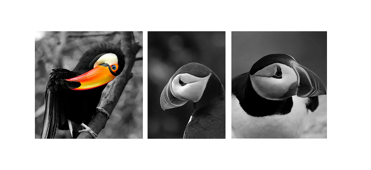 旋转结构的好处是可便于收纳与后期包装节省空间等等.....<br>The advantage of the rotating structure is that it is convenient for storage and subsequent packaging to save space, etc...