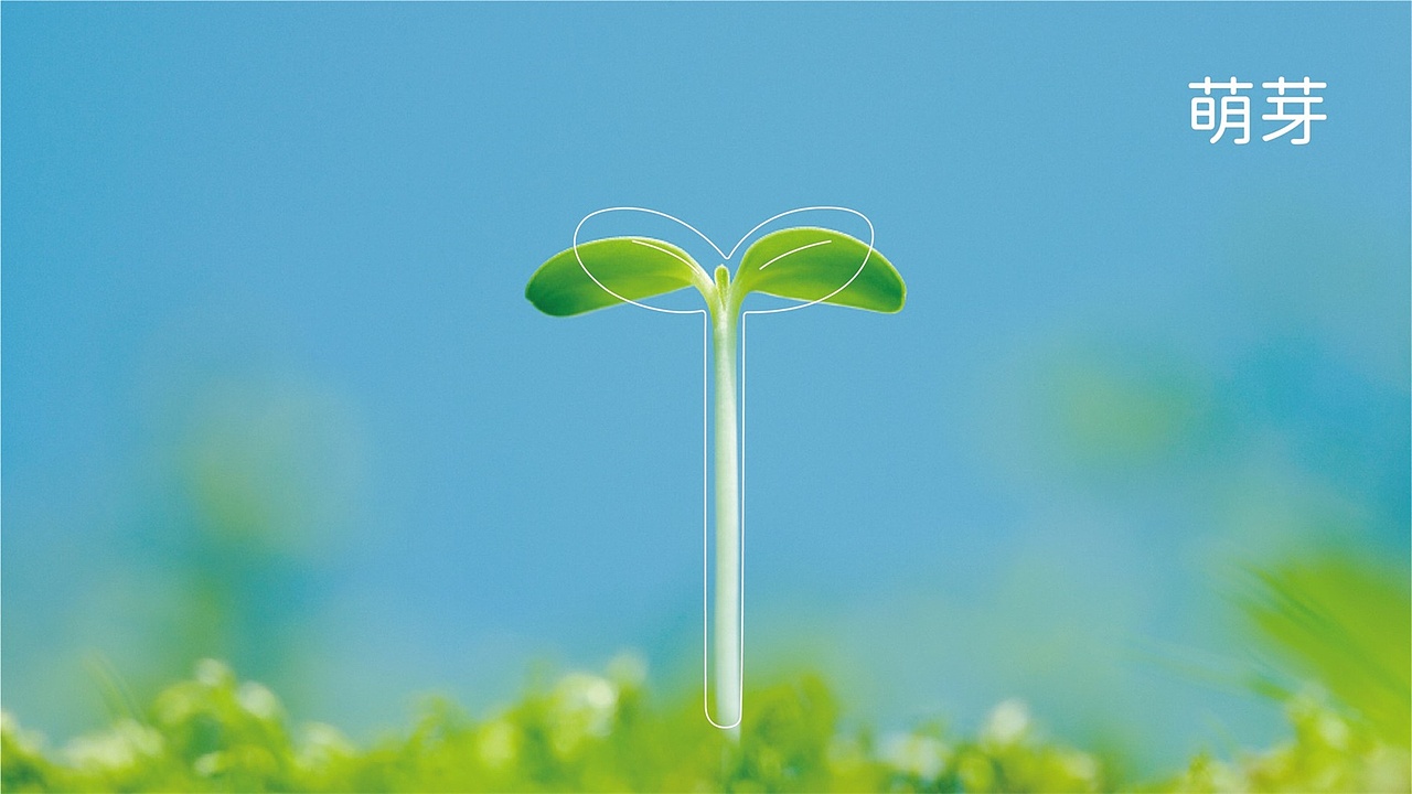 小李白 ╳ 安贝儿品牌萌芽霜包装设计