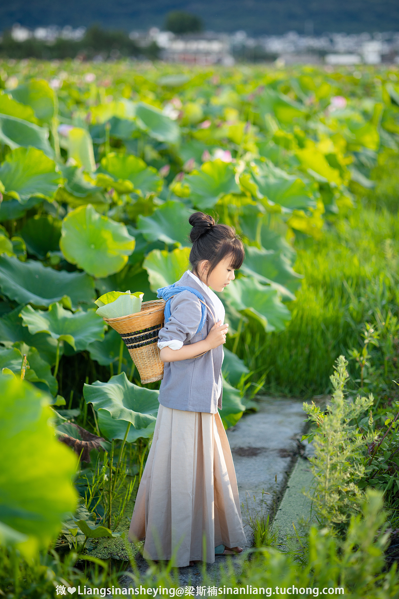 夏荷（图ZMjYyNzk2NDA4） - 人像摄影 - 站酷设计师梁斯楠原创素材 - 站酷ZCOOL