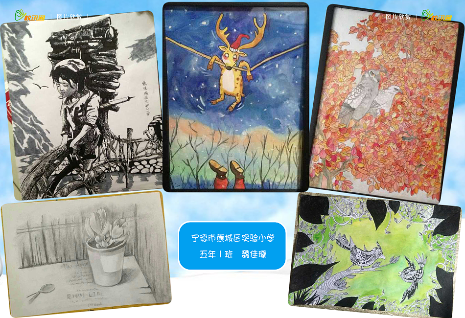 15年做的电子期刊（图ZNzUzNjY3NTI=） - 书籍/画册 - 站酷设计师老杨是小白兔原创素材 - 站酷ZCOOL