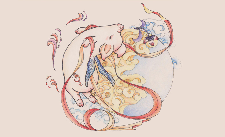 飞天猪系列画|插画|插画习作|墨言盒子 - 原创作品 - 站酷 (ZCOOL)
