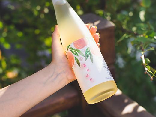 18夏进口酒拍摄