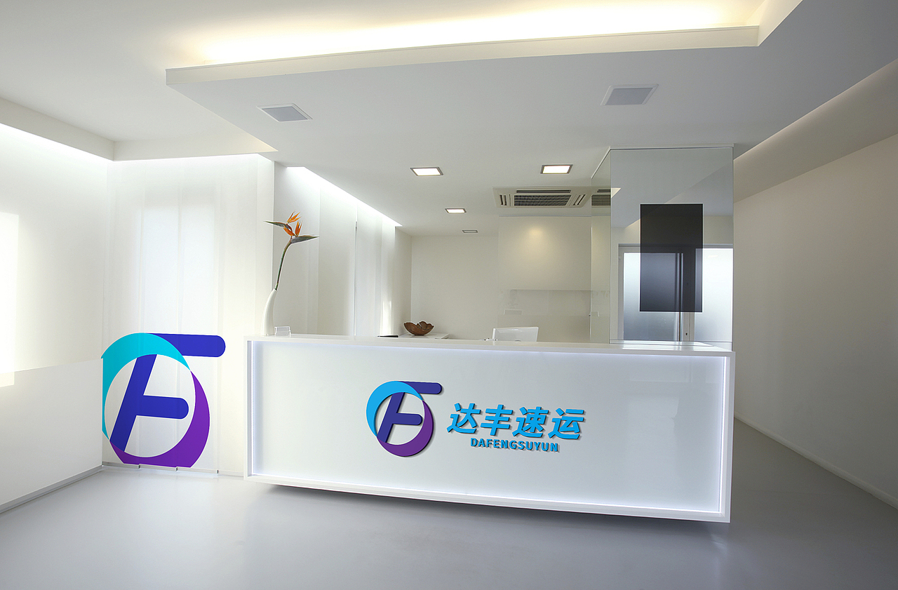 达丰速运 LOGO设计 VIS视觉展示