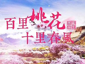 西藏桃花节