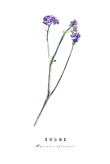 一花一世界（圖ZMjUxMTk3MjQ=） - 商業(yè)插畫 - 站酷設(shè)計師kekedou123原創(chuàng)素材 - 站酷ZCOOL