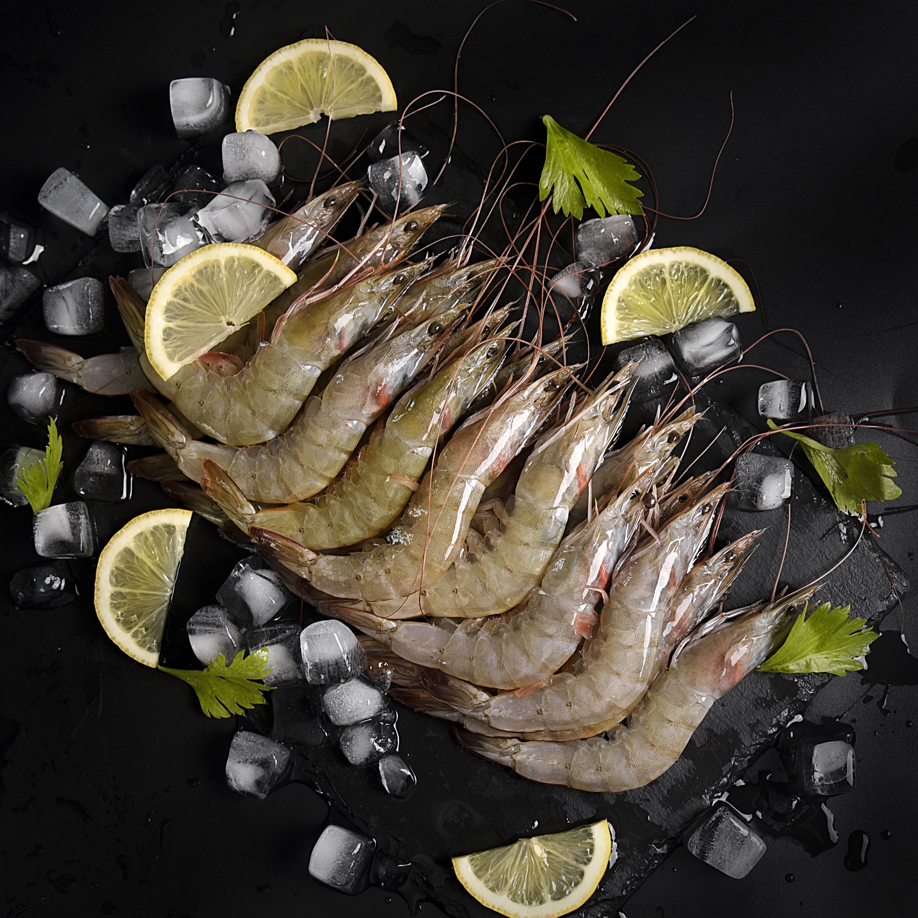 海鲜产品摄影-白虾