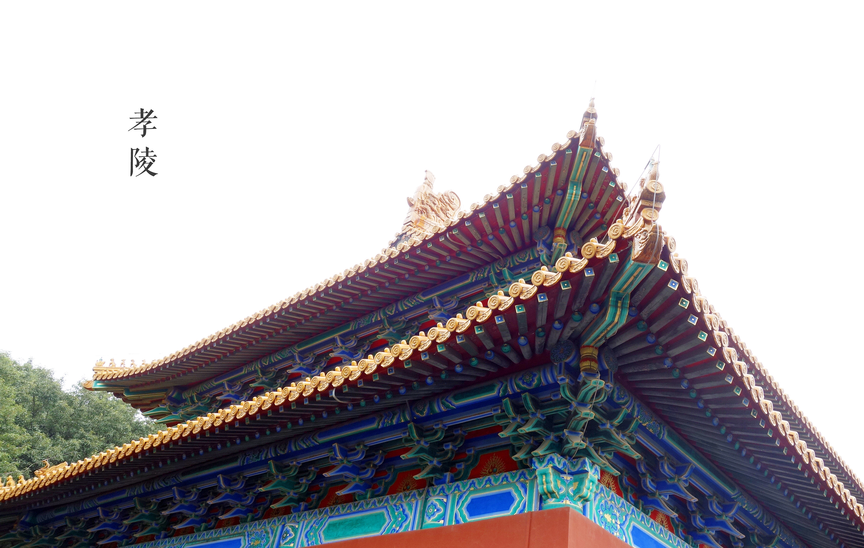 南京明孝陵的城楼上欣赏满园秋色|摄影|风光|敬国 - 原创作品 - 站酷 (ZCOOL)