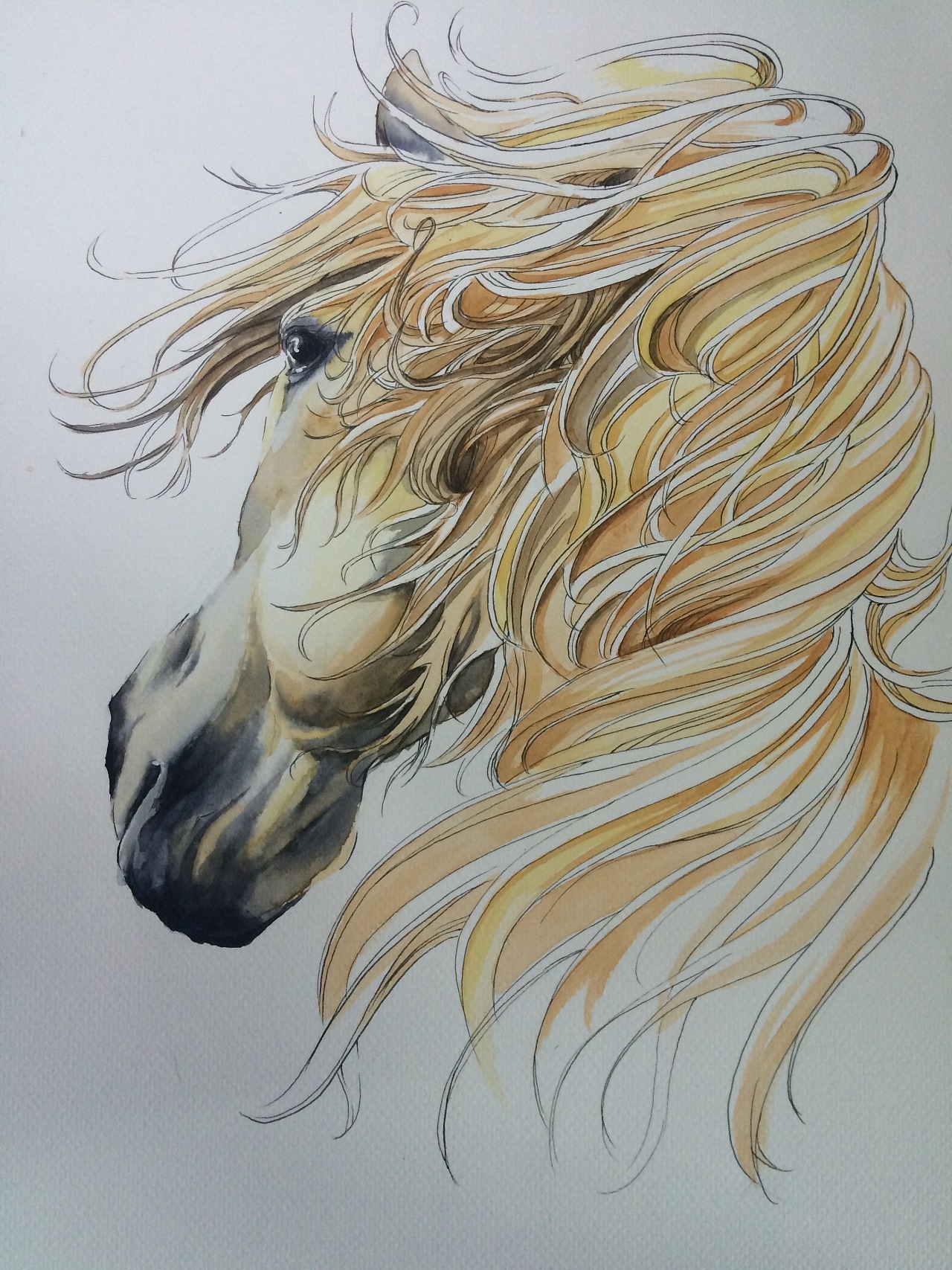 白马白马|插画|商业插画|高嵩不是高松 - 原创作品 - 站酷 (zcool)