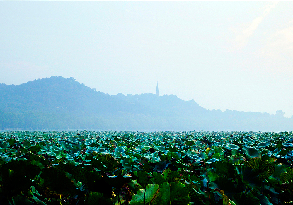 这二年拍的一些风光糖水片（图ZMTU2MzUxOTY=） - 风光摄影 - 站酷设计师ahgaoshan原创素材 - 站酷ZCOOL