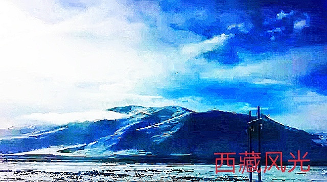 西藏的美云占了一半