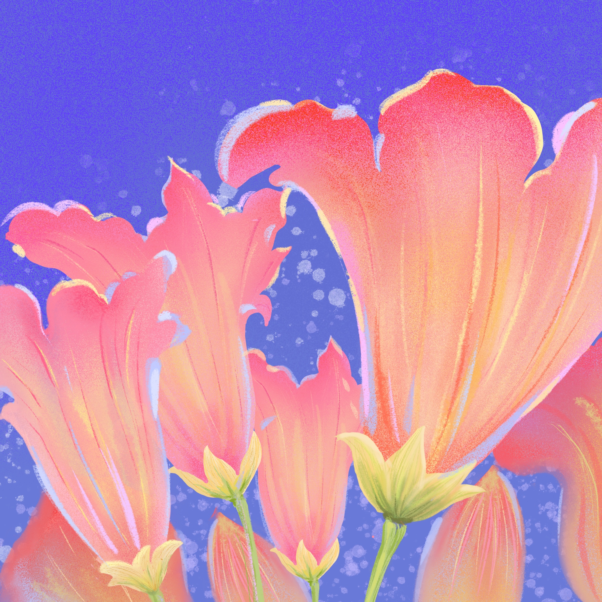 ThreeHao的个人主页（封面预览） - 主页封面设置 - 站酷设计师ThreeHao原创素材 - 站酷ZCOOL