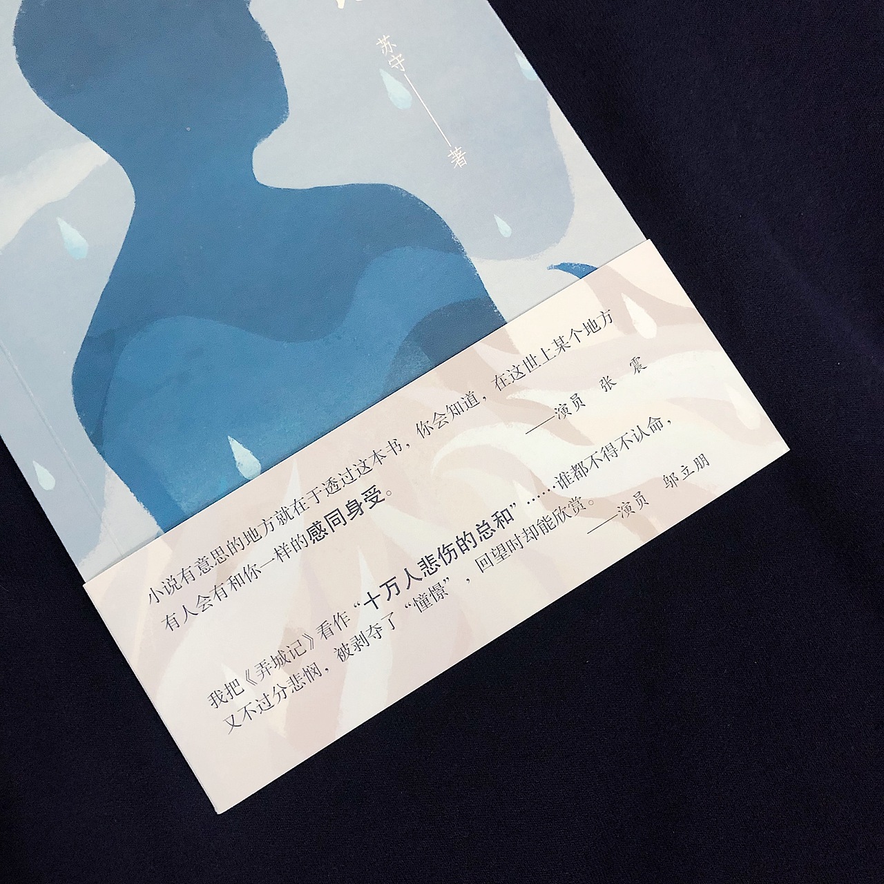 《弄城记》装帧设计（图ZMTkyMjIwNjky） - 书籍/画册 - 站酷设计师沉清Evechan原创素材 - 站酷ZCOOL
