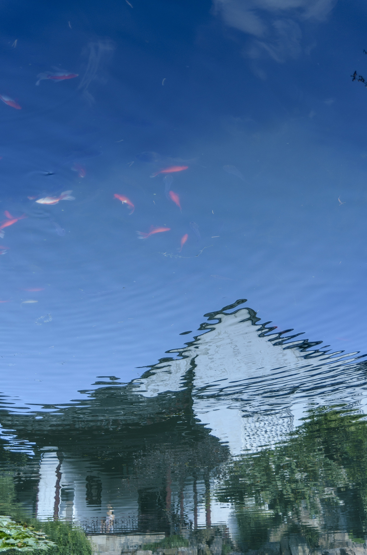 一大波苏州园林来袭