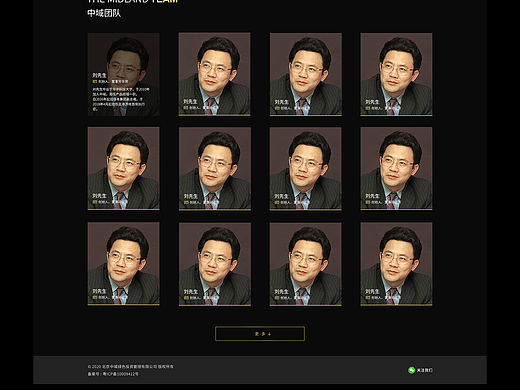 中域绿色投资管理企业网站